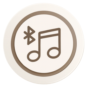 Hifi bluetooth icon