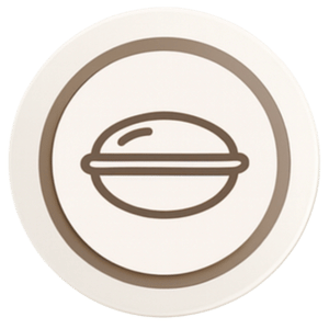air bag icon