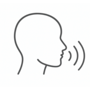 voice model icon